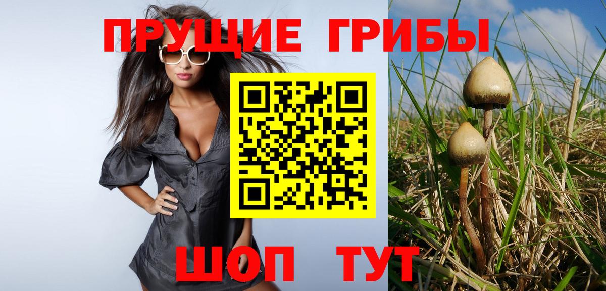 Галлюциногенные грибы мицелий Котельники